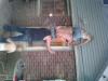 320_pounds_on_my_shoulders