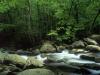 A_place_to_relax