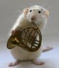 Algernon_Got_Nothin'_On_Me