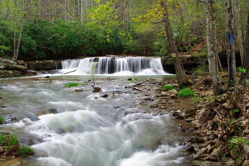 <img500*333:stuff/Camp_Creek_Falls.jpg>