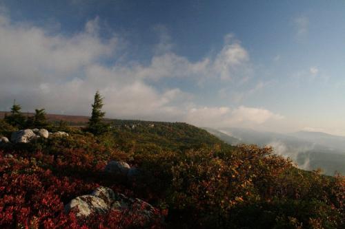 <img500*333:stuff/Dolly_Sods_.jpg>