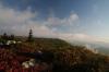 Dolly_Sods_