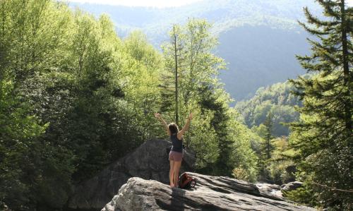 <img500*299:stuff/Freedom_in_the_forest.jpg>