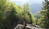 Freedom_in_the_forest