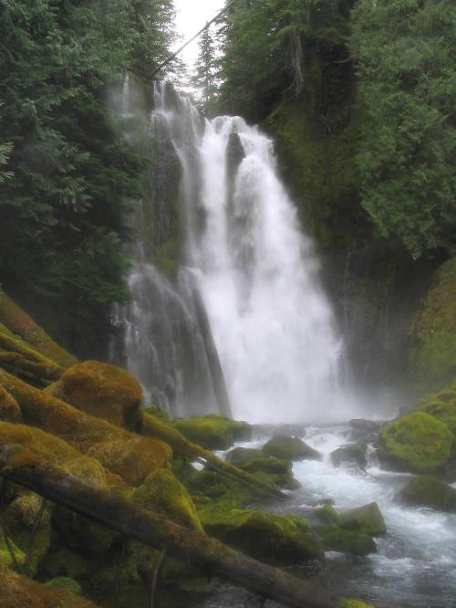 <img0*666:stuff/Image_11820.jpg>