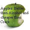 Image_17916
