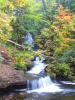 Image_37159