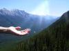 Image_37982