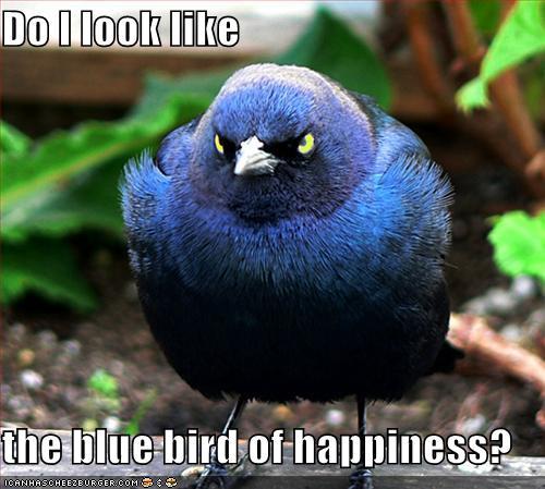 <img0*449:stuff/Image_60461.jpg>