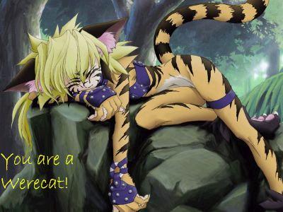 <img0*300:stuff/Image_61136.jpg>
