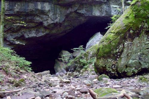<img0*331:stuff/Image_65546.jpg>