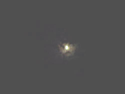 <img500*374:stuff/MOONDANCE.jpg>
