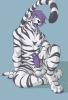 MY_TIGER_FURRY