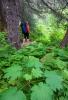 Me_lugging_my_pak_thru_the_forest
