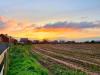 My_view_of_the_fields_driving_from_Upper