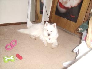 <img300*0:stuff/Rukku.jpg>