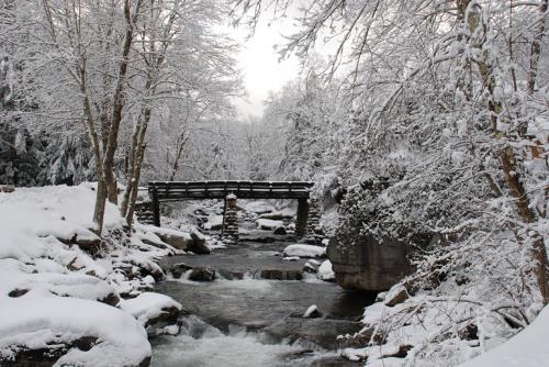 <img500*334:stuff/Snowy_road_home.jpg>