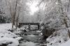 Snowy_road_home