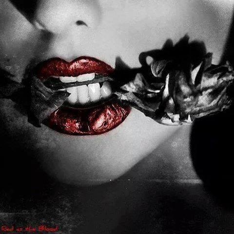 <img0*480:stuff/THE_OBSIDIAN_ROSE_CLAN.jpg>