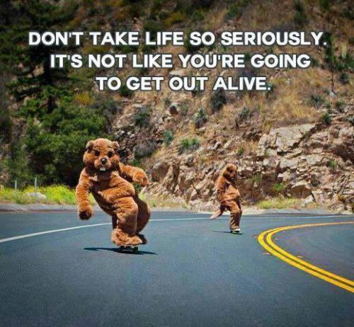 <img500*462:stuff/THRE_TRUEST_WORDS_EVER_SPOKEN%21%21%21%21.jpg>