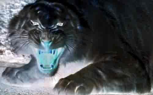 <img0*312:stuff/TIGER%21_TIGER%21_IN_THE_NIGHT.jpg>