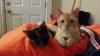 The_Mystik_Cats!!!!!
