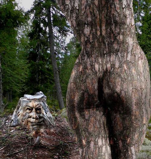 <img500*527:stuff/Wood_spirtits.jpg>