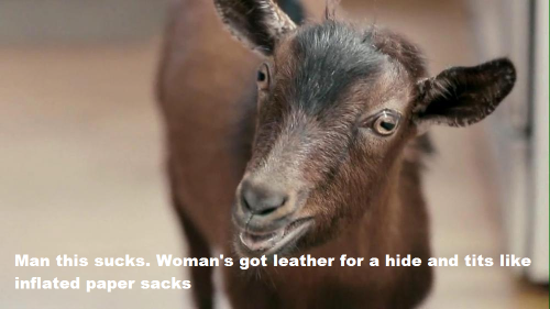 <img500*0:stuff/aj/1005/1480864271.png>
