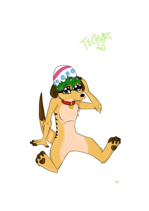 <img500*0:stuff/aj/10605/1307251545.jpg>