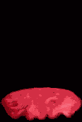 <img:stuff/aj/10835/1306327891.gif>