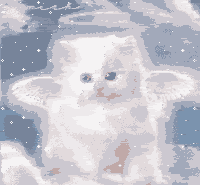 <img:stuff/aj/10835/1307219532.gif>