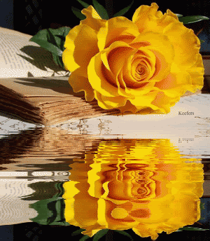 <img:stuff/aj/10835/1473910073.gif>