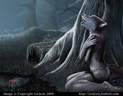 <img:stuff/aj/11939/1429467287.jpg>