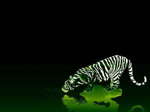 <img500*0:stuff/aj/2218/1272994026.jpg>