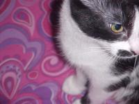 <img200*0:stuff/aj/9841/1305481990.jpg>