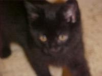 <img200*0:stuff/aj/9841/1305482045.jpg>