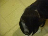 <img200*0:stuff/aj/9841/1305482204.jpg>