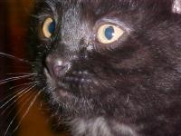 <img200*0:stuff/aj/9841/1305482339.jpg>