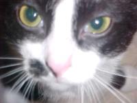 <img200*0:stuff/aj/9841/1305482479.jpg>