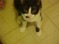 <img200*0:stuff/aj/9841/1305482521.jpg>