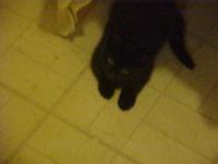 <img200*0:stuff/aj/9841/1305482541.jpg>