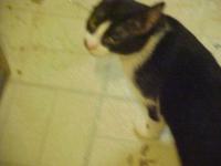 <img200*0:stuff/aj/9841/1305482671.jpg>