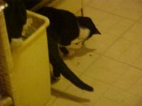 <img200*0:stuff/aj/9841/1305482696.jpg>