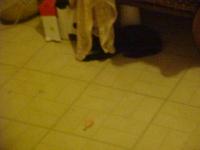 <img200*0:stuff/aj/9841/1305482819.jpg>