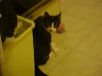 <img200*0:stuff/aj/9841/1305482857.jpg>