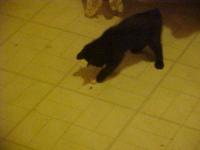 <img200*0:stuff/aj/9841/1305482877.jpg>