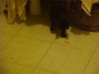 <img200*0:stuff/aj/9841/1305482900.jpg>
