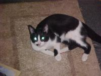 <img200*0:stuff/aj/9841/1305482936.jpg>