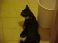 <img200*0:stuff/aj/9841/1305483065.jpg>
