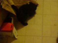 <img200*0:stuff/aj/9841/1305483157.jpg>